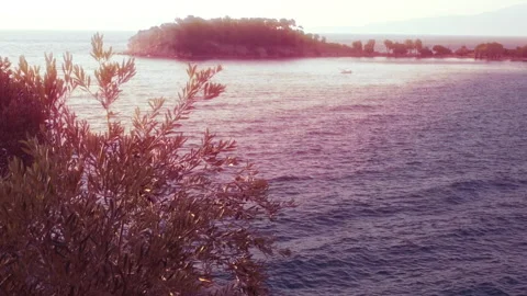 Island landscape at sunset 動画素材 260168457