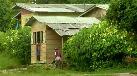 Island Life Stock Footage 22157816