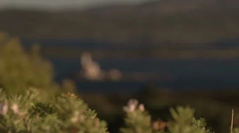 Island with lighthouse in Sardinia Stock Footage 37314445
