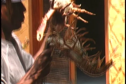 Island Men With Shellfish  Stock Footage 1000421