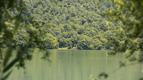 Island in middle of lake Stock Footage 81487448