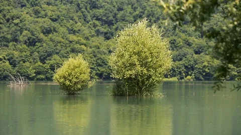 Island in middle of lake Stock Footage 81487513