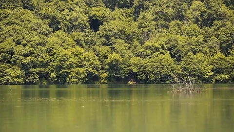 Island in middle of lake Stock Footage 81487717
