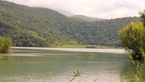 Island in middle of lake Stock Footage 81487848