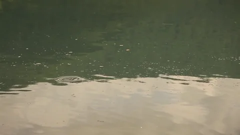 Island in middle of lake Stock Footage 81487849