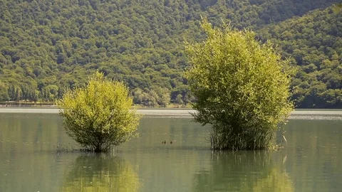 Island in middle of lake Stock Footage 81487956