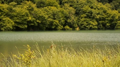 Island in middle of lake Stock Footage 81488397