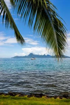 Island of moorea.french polynesia 스톡 사진