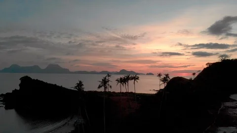Island palm silhouettes Stock Footage 105689636
