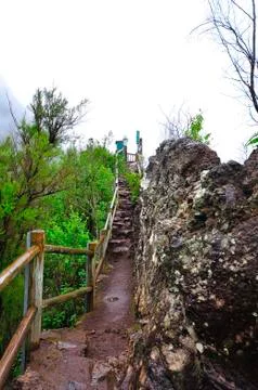 Island of palm spain Stock Photos