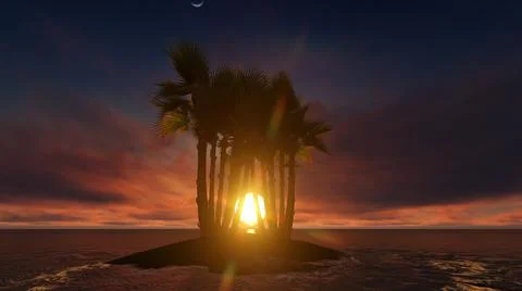 Island with palm trees in the ocean on a background of sunset2. 3D rendering Stock Illustration