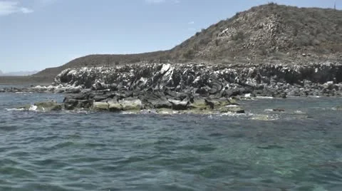 Island Pan 스톡 동영상 22104509