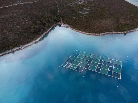 Island Pašman Stock Photos