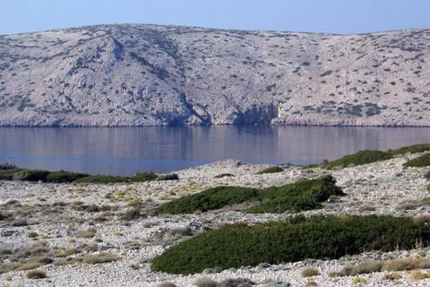 On the island Stock-Fotos