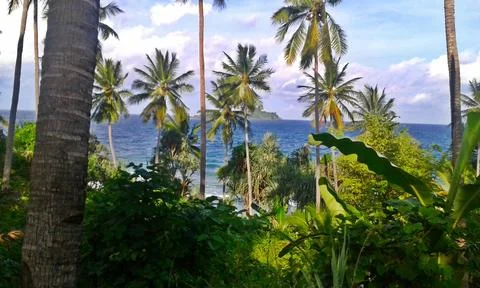 Island Stock Photos