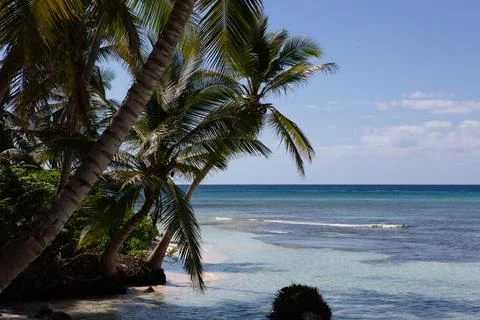 Island Stock Photos