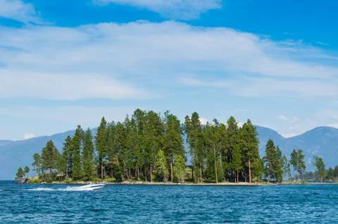 Island with pine trees in Flathead Lake, Montana Stock Photos