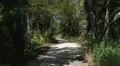 island sandy foot path HD Footage