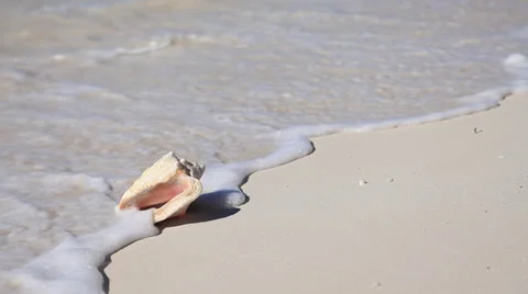 Island Saona (raw) 스톡 동영상 33549133