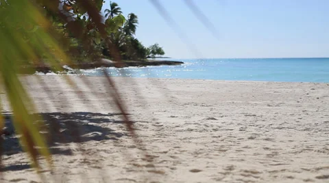Island Saona (raw) 스톡 동영상 33555590