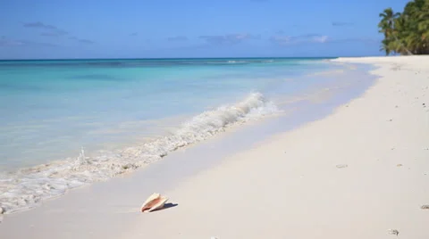 Island Saona (raw) 스톡 동영상 33569985