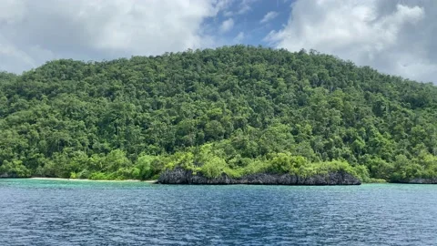 Island in the sea Stock Footage 236043683