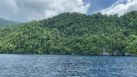Island in the sea Stock Footage 236043826