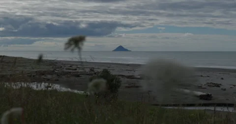 Island Seen Through Flowers Видео 250142427