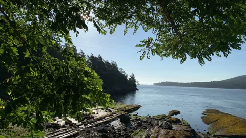 Island shore Stock Footage 146994429
