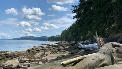 Island shore view Stock Footage 146993337