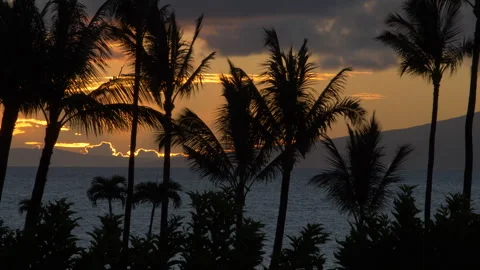 Island Sunset UHD with Palm Trees in foreground 스톡 동영상 284888656