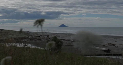 ISLAND THROUGH FLOWERS Video stock 230993243