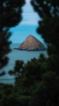 The island through the trees Stock Photos