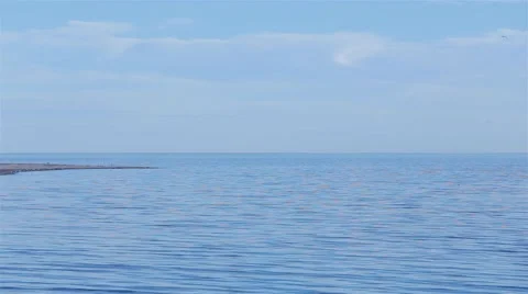 Island Tip With Birds Stock Footage 60658073