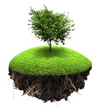 Island tree grass Stock Photos