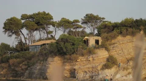 Island Trees Stock Footage 11627433