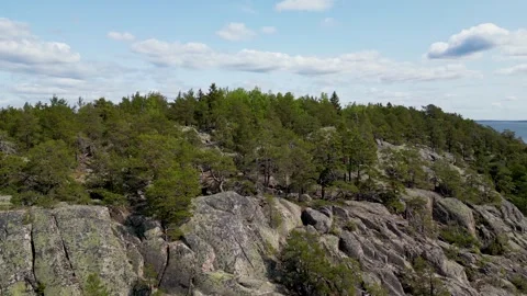 Island with trees Stock Footage 251847570