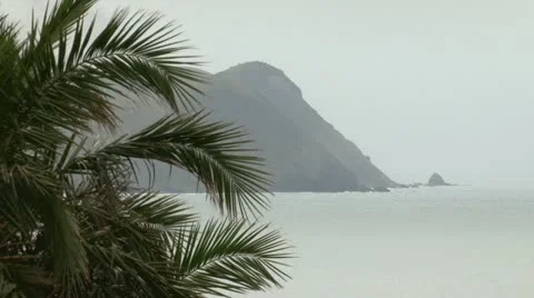 Island with Trees in the Foreground Stock Footage 21223041