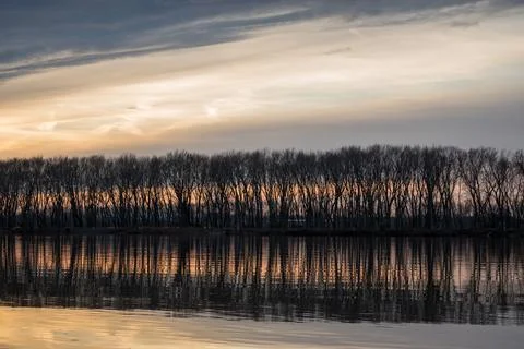 Island of trees Stock Photos