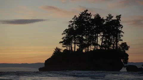 Island with Trees at Sunset, Cinematic view Stock Footage 313295436