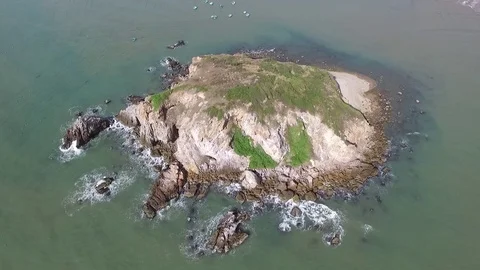 The island turtle Stock Footage 73270119