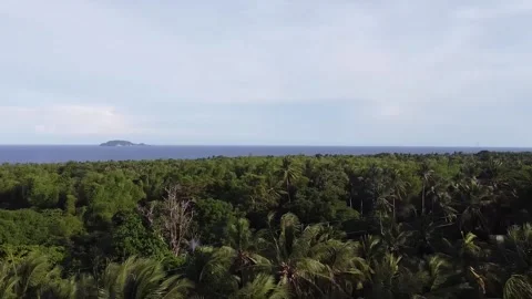 Island view Stock Footage 183669046