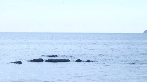 Island view tilt pan Stock Footage 33718508