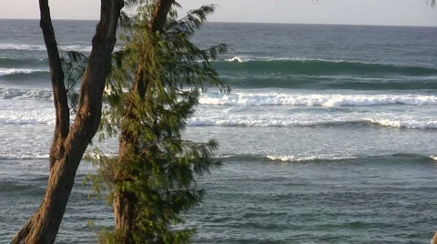 Island Waves Stock Footage 6523409