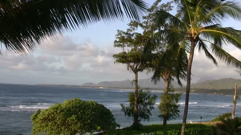 Island Waves Stock Footage 6523590