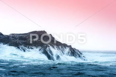 Island wilderness Stock Photos