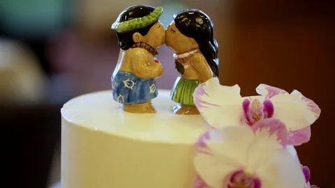 Islander Cake Topper 01 Stock Footage 105393109