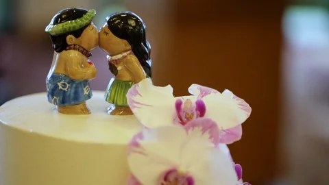 Islander Cake Topper 02 Stock Footage 105393090
