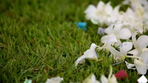 Islander Cake Topper 02 Stock Footage 105393143