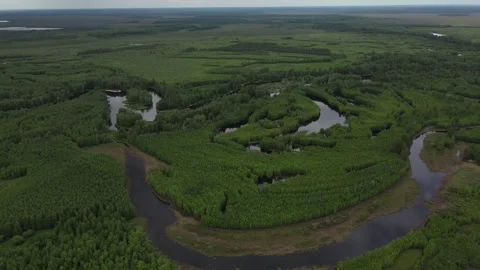 Islands between the river and forest in Siberia Stock Footage 302109426